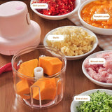 Garlic Chopper